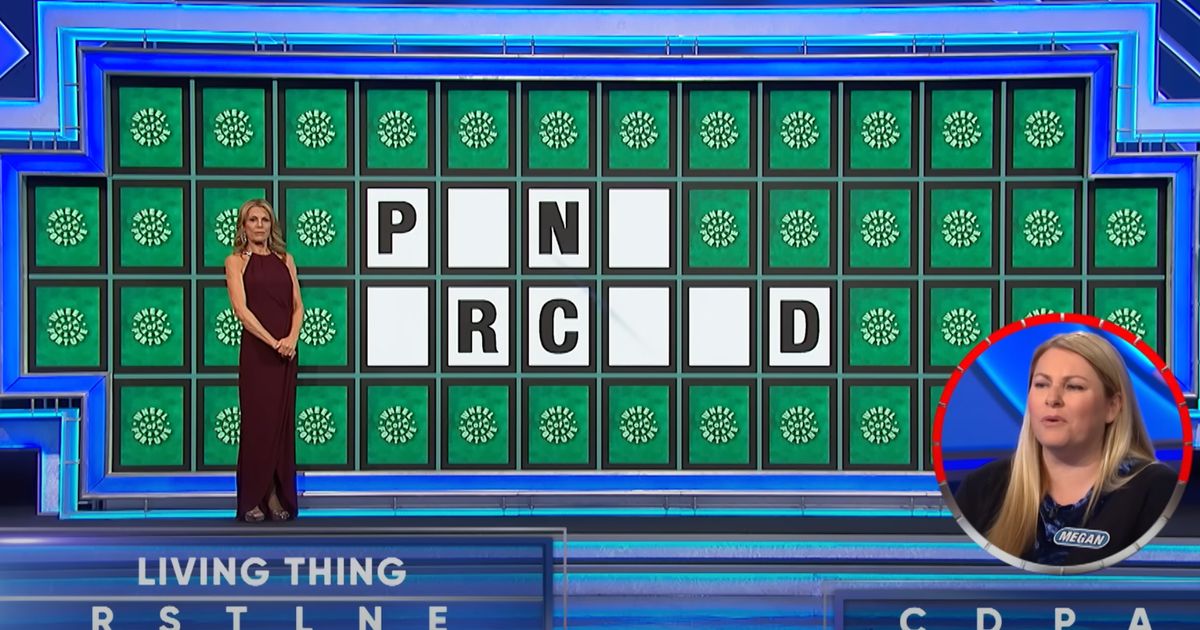 ‘Wheel of Fortune’ Contestant Who Fans Think Was Robbed Of $40,000 Speaks Out