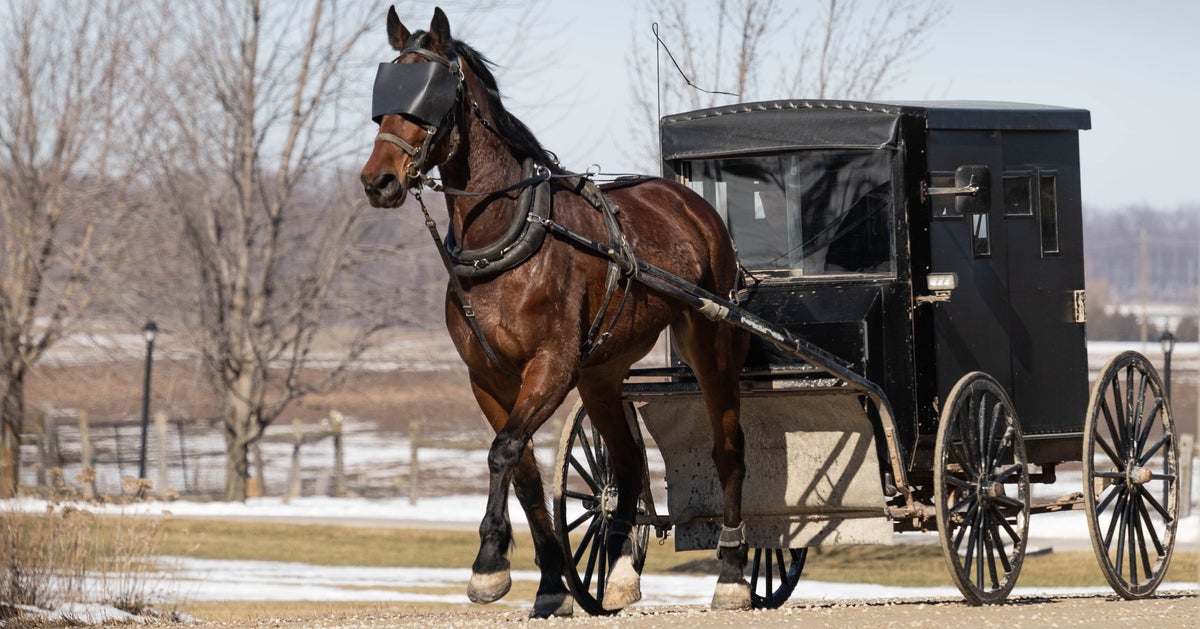 NextImg:Woman Allegedly Frames Twin Sister For Fatal Amish Buggy Crash