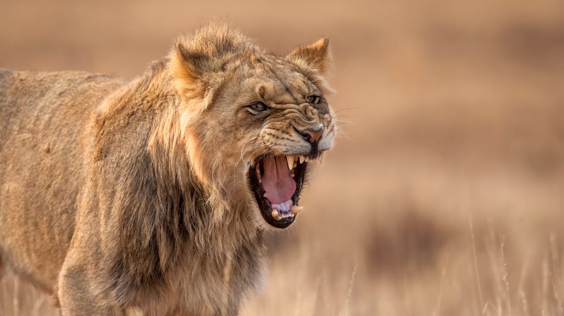 The Secret To Calming Down An Angry Person — And The 2 Words You Never Want To Say