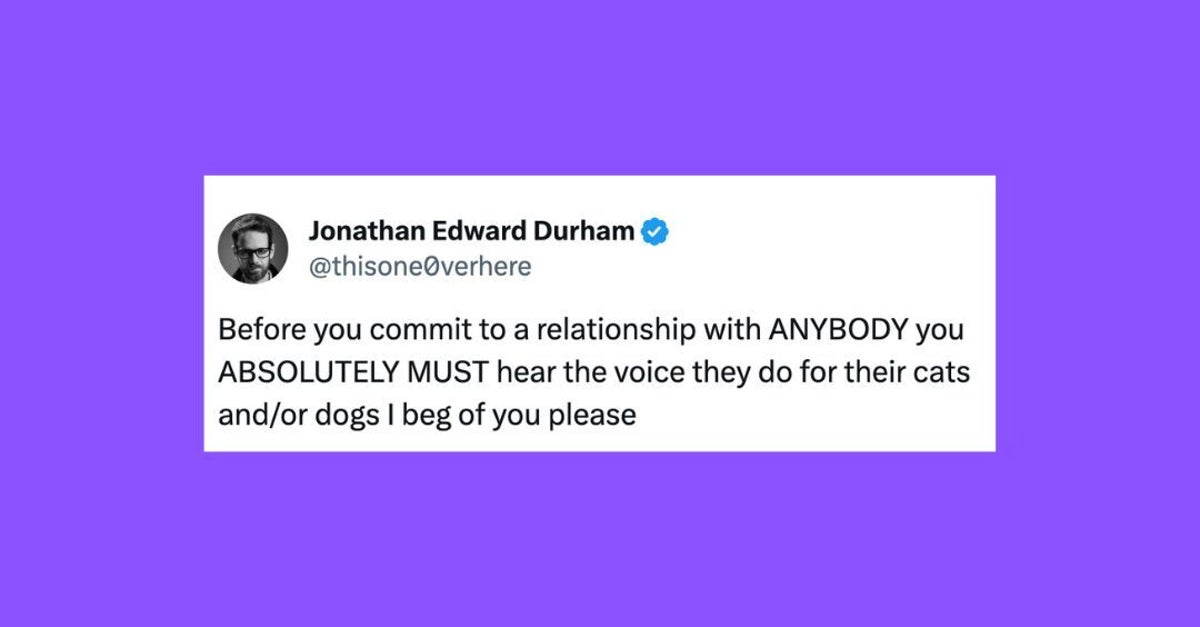 29 Of The Funniest Tweets About Cats And Dogs This Week (Feb. 3-9)