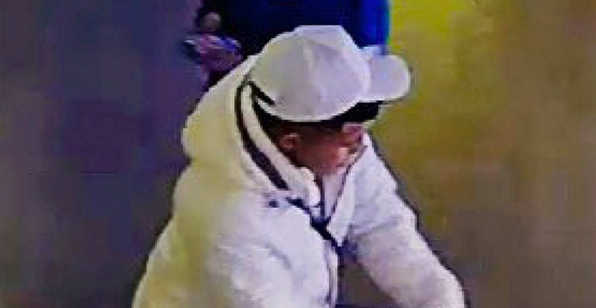 Search Underway For Teen Boy Who Shot Times Square Tourist - Vimarsana News