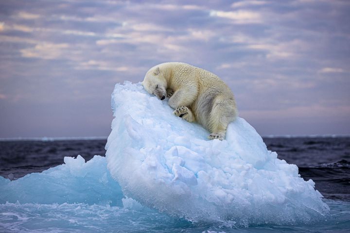 ノルウェー・スヴァールバル諸島で撮影された「Ice Bed（氷のベッド）」