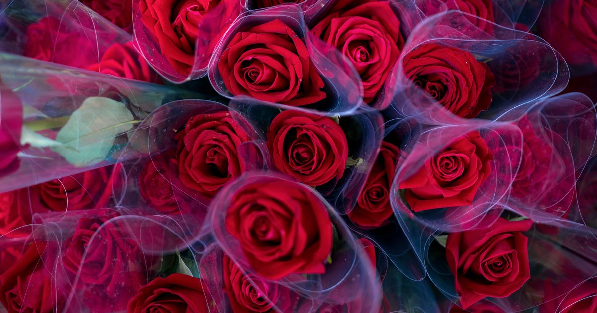 The Secret Meaning Behind The Number Of Roses In Your Bouquet
