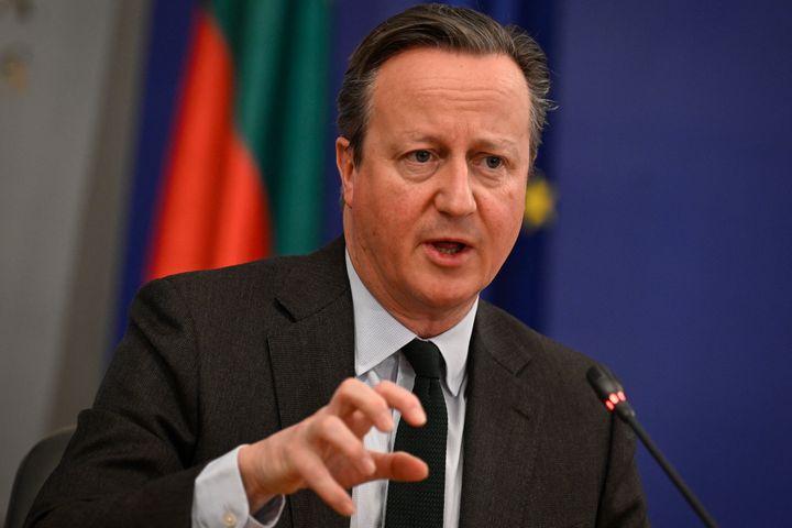 David Cameron speaks during a joint news conference after his meeting with Bulgarian Prime Minister today.