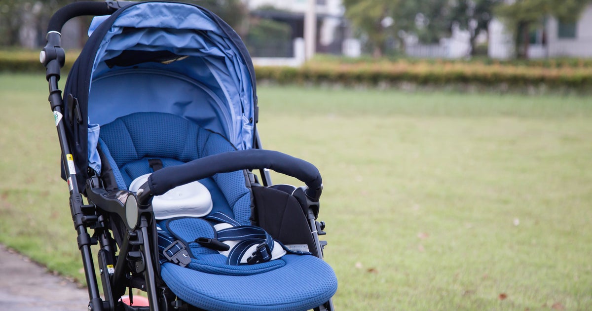 Mother Pushing Baby In Stroller Dies After Being Run Over By Truck: Police