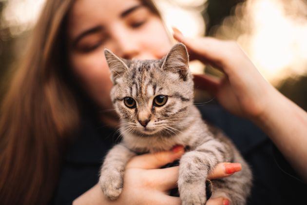 Young woman holding kitten outdoors