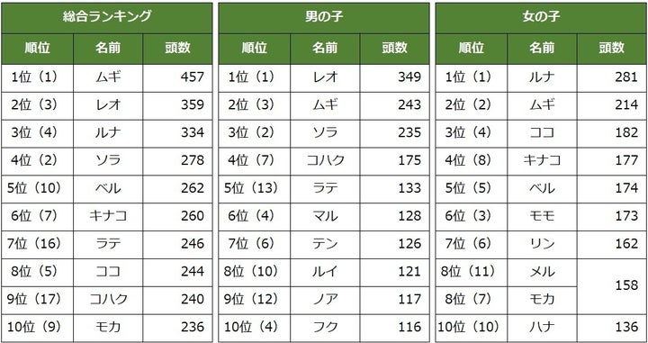 「猫の名前ランキング」2024