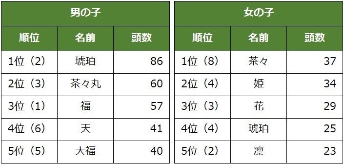 「猫の名前ランキング」2024