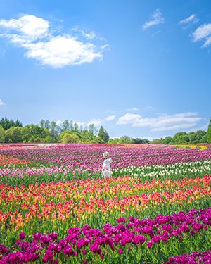 世羅高原農場【広島県】