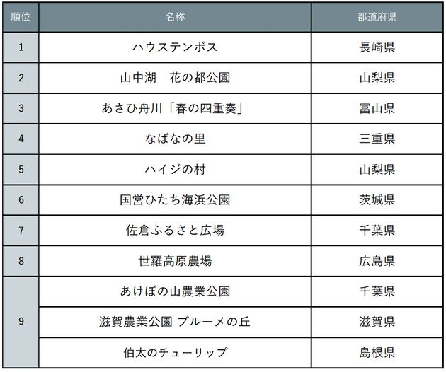 トップ9をご紹介