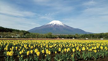 山中湖 花の都公園【山梨県】