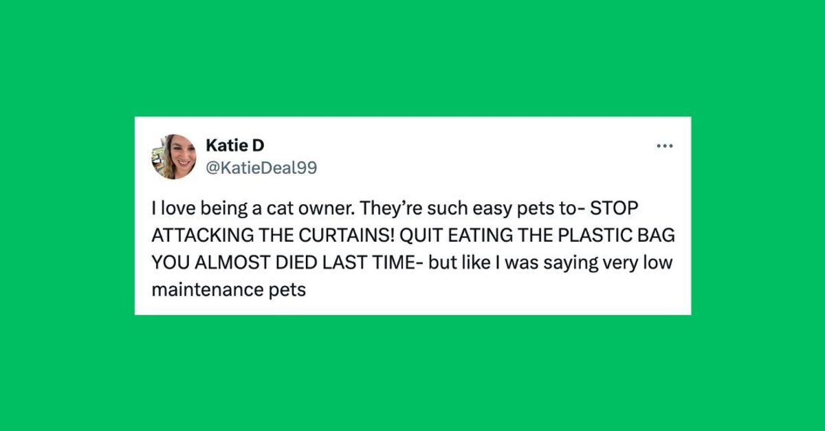 26 Of The Funniest Tweets About Cats And Dogs This Week (Feb. 17-23)