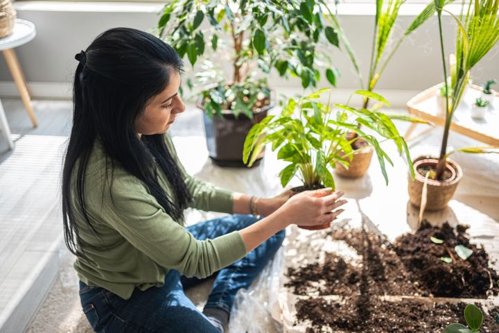 Plant care at home. Sustainable Gen Z lifestyle.