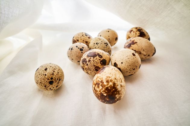 Quail eggs on a white linen towel close-up. Lovely cozy photo for Easter and recipes.