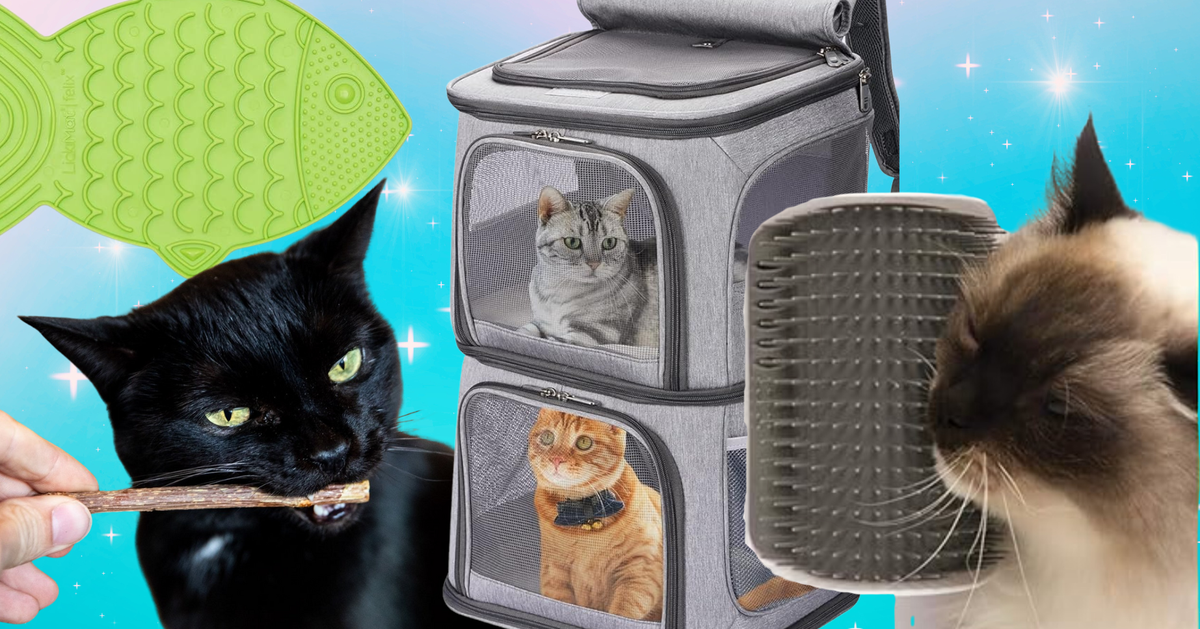 NextImg:36 Things That'll Really Come In Handy If You Live With Two Or More Cats