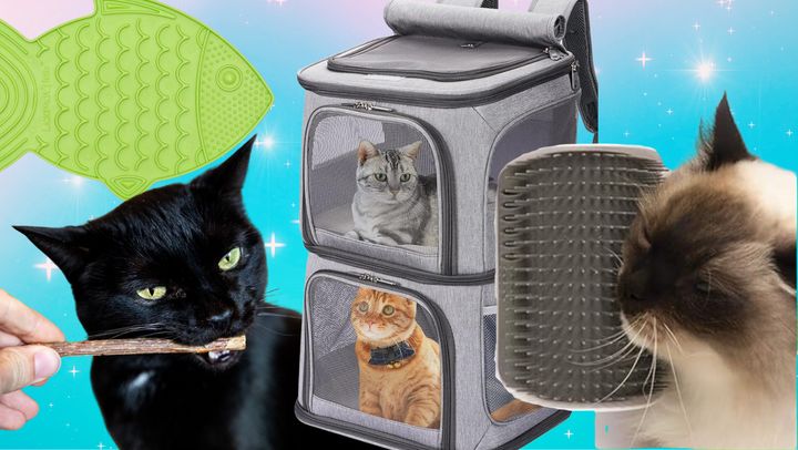 A whisker-friendly lick mat, catnip from a variety box, a dual-cabin pet carrier and a self-grooming cat toy.