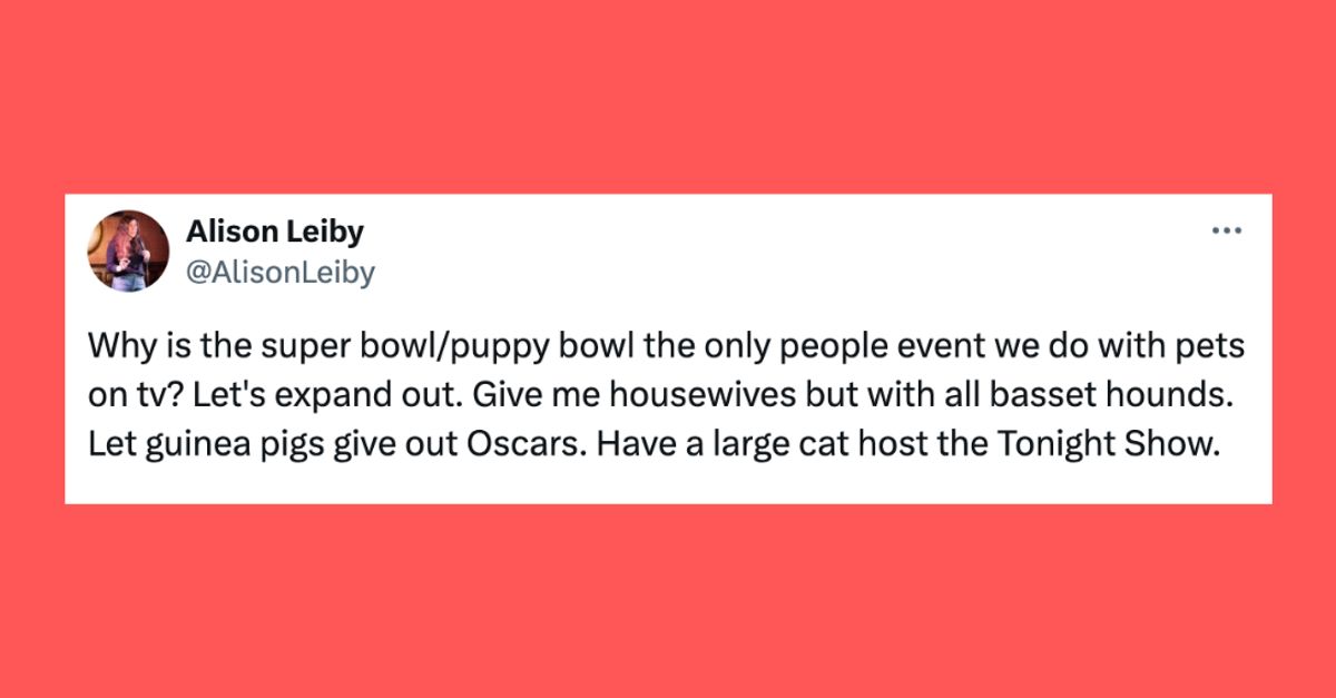 24 Of The Funniest Tweets About Cats And Dogs This Week (Feb. 24 - Mar. 1)