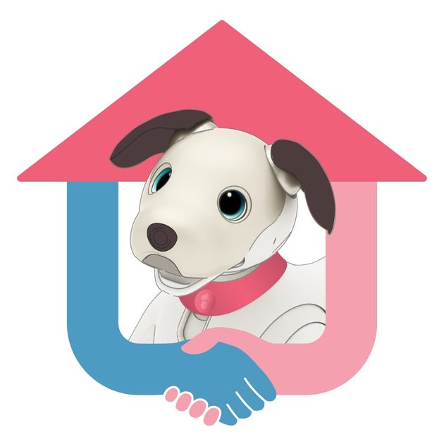 ソニーが繋ぐ、サステナブルな関係。専用のピンクの首輪は里親プログラムで引き渡されたaiboの証だ