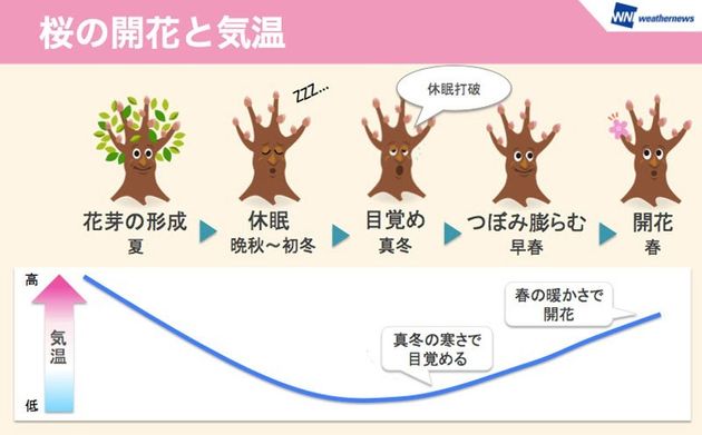 休眠打破の仕組み