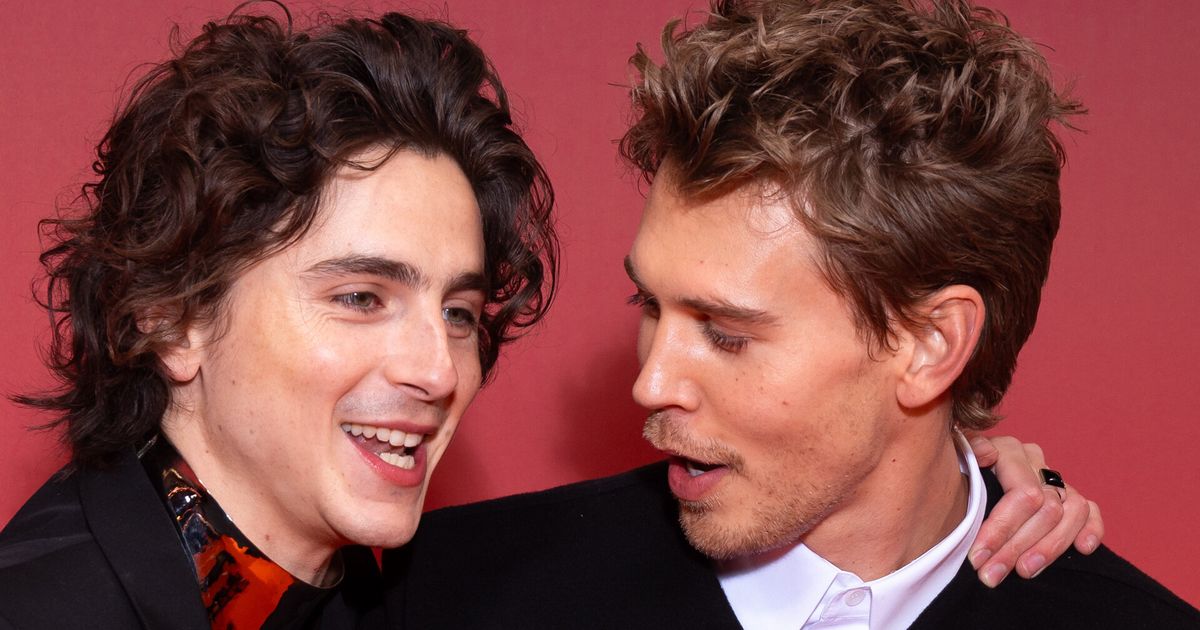 Timothée Chalamet Says Austin Butler's Elvis Would Be Great In His Bob Dylan Biopic