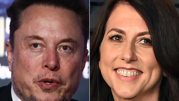 Elon Musk attacked MacKenzie Scott in a now-deleted tweet on Wednesday.