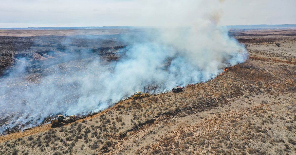 Power Lines Ignited The Largest Wildfire In Texas History, Officials Say