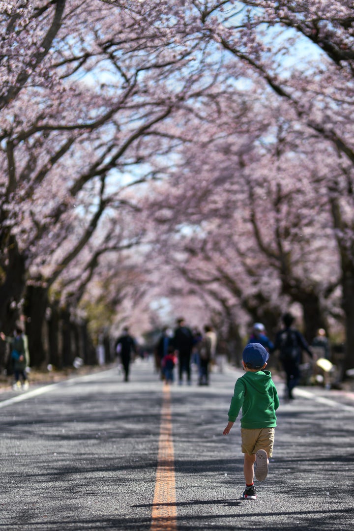 駆け出す（2021年撮影、夜の森の桜並木で）