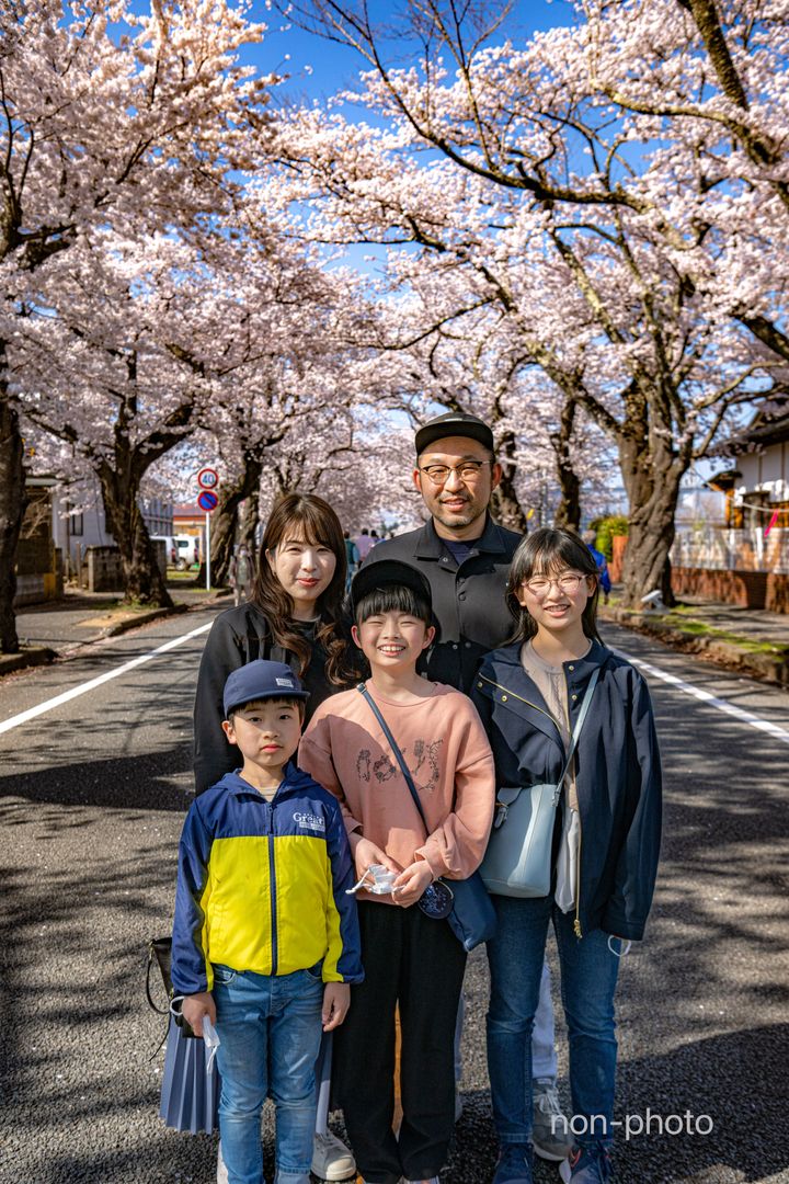 「家族写真」（2023年撮影、夜の森の桜並木で）