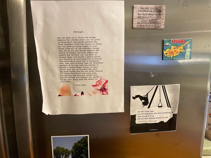 The two remaining memes on the author's fridge. "You can see the sticky residue spots where older memes used to be posted," she notes.
