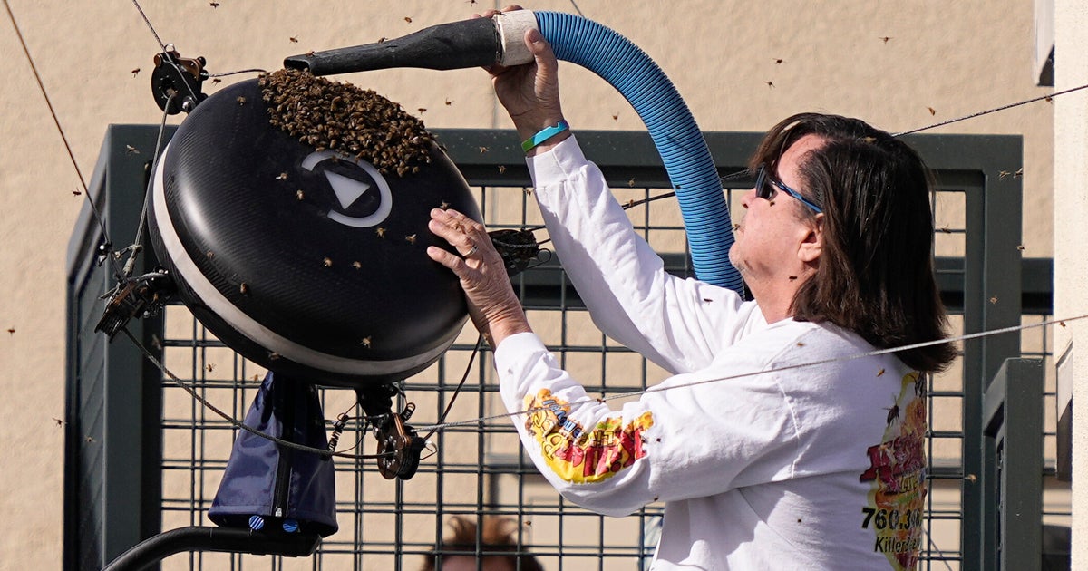 Bee Invasion Causes Lengthy Delay At Indian Wells Tennis