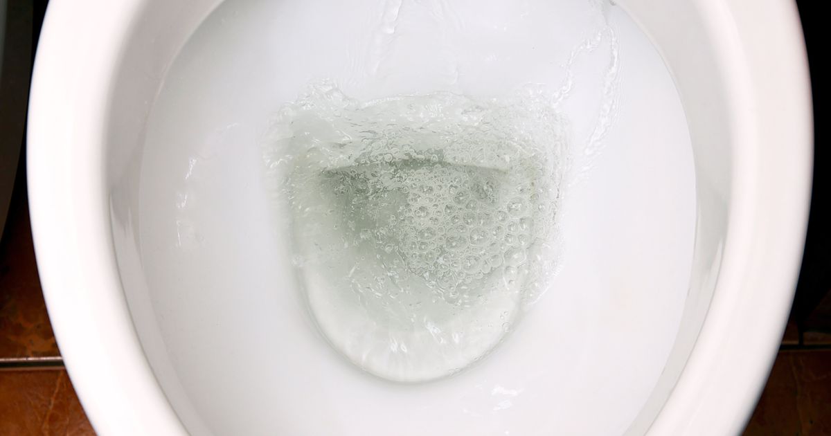 The Signs Foamy Urine Comes From Kidney Issues | HuffPost UK Life