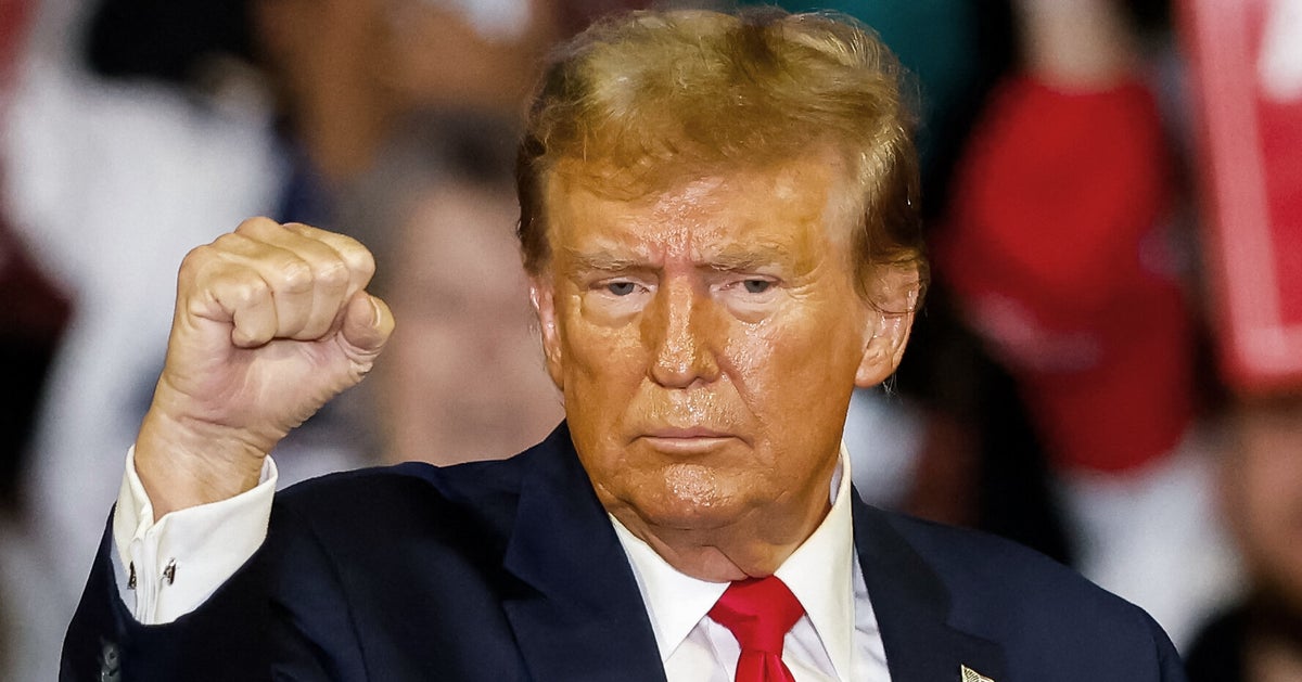 Ex-Prosecutor Exposes Chilling Takeaway From Donald Trump's Attacks On Judge's Daughter