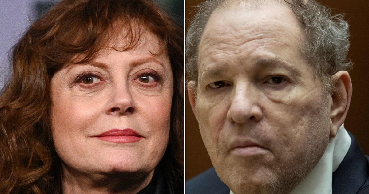 Susan Sarandon Says Hollywood Hasn't 'Done The Cleanup' After Harvey Weinstein Scandal