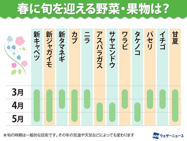 ウェザーニュース