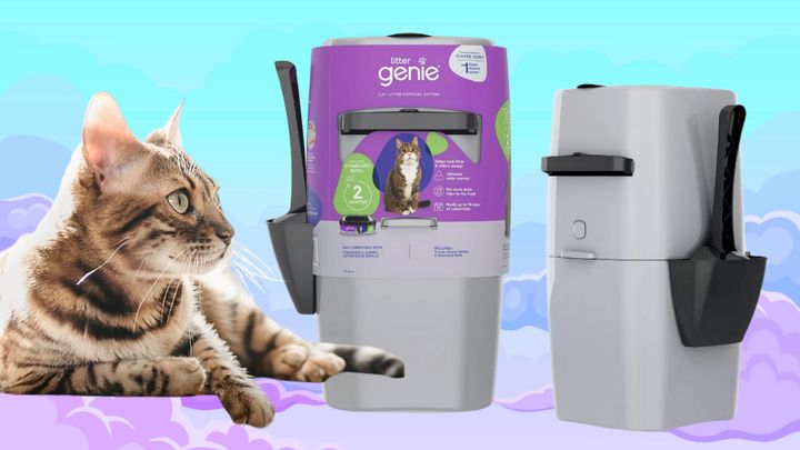 The Litter Genie pail from Amazon, Target and Walmart helps contain odor from soiled cat litter and makes waste disposal easy.