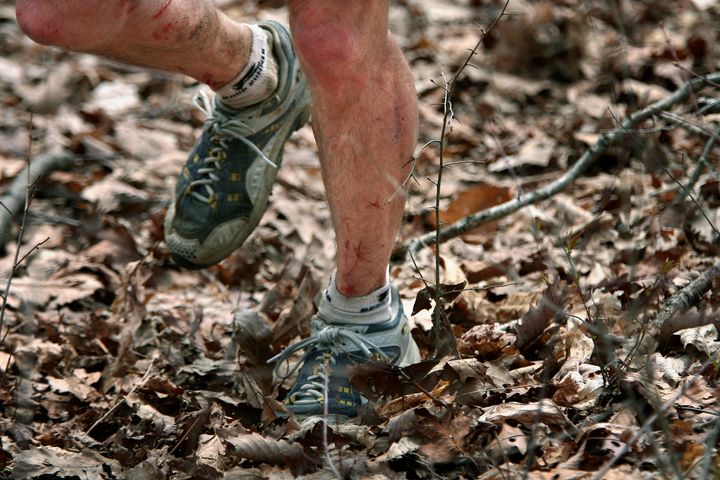 テネシー州のフローズン・ヘッド州立公園で開催されるバークレー・マラソン（2007年3月31日）