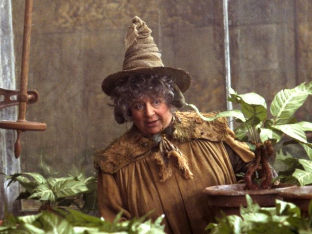 Miriam Margolyes' Harry Potter Co-Star 'Didn't Like' Her Blunt Message
For Films' Grown-Up Fans