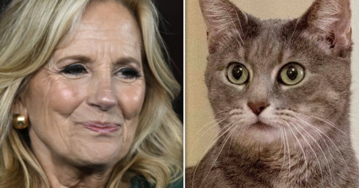 Jill Biden Writes Children's Book About White House Cat Willow
