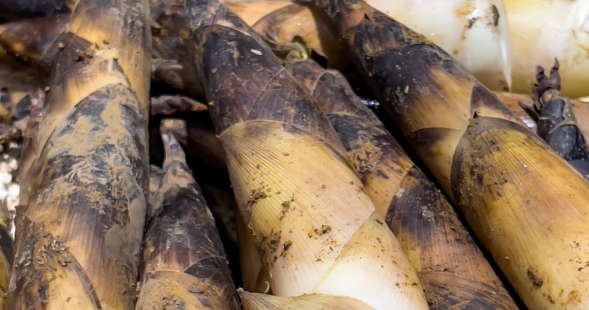 【料理の裏ワザ】たけのこは茹でずにアク抜きできます。“アレ“に漬けるだけで簡単にできる
