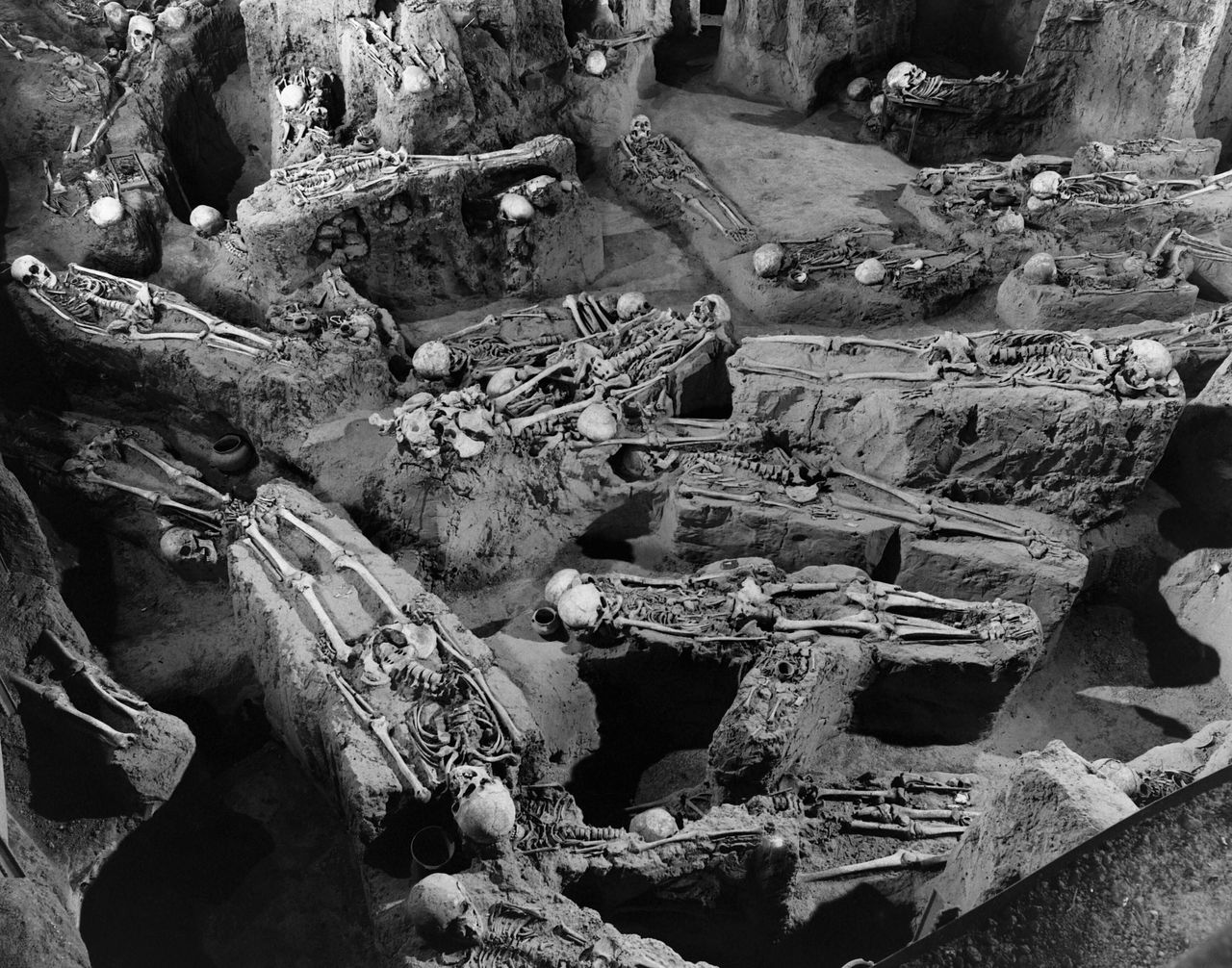 An image of Dickson Mounds, a Native American settlement site and burial mound near Lewistown, Illinois. A private museum used to operate on this site that featured 237 uncovered skeletons on display. It was closed in 1992.