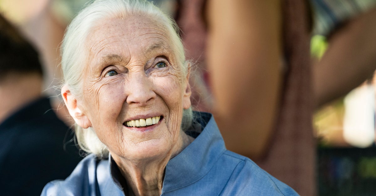 Jane Goodall Reflects On How A Childhood Dog Changed The Way She Saw Animals