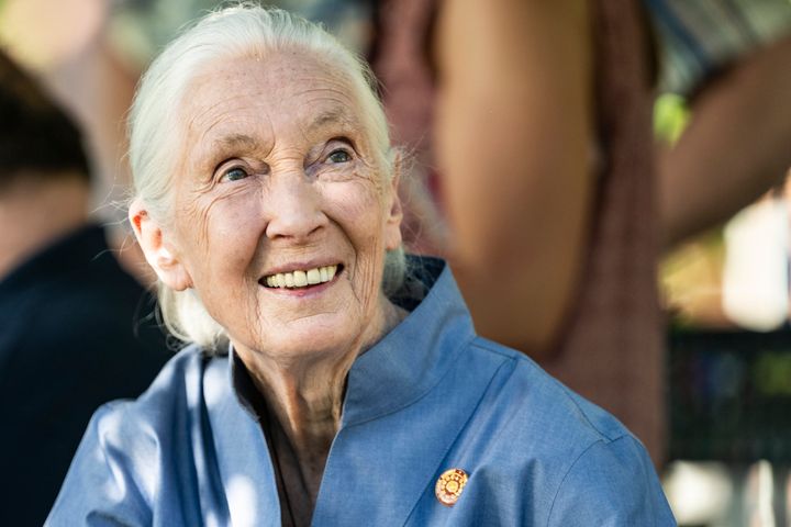 Jane Goodall in 2022.
