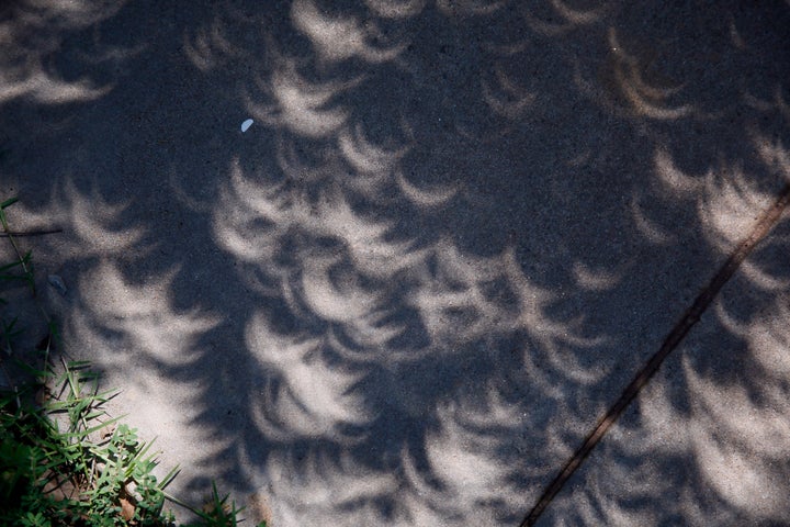 Ombre a forma di mezzaluna sono raffigurate su un marciapiede mentre la luce passa attraverso le foglie degli alberi durante un'eclissi solare parziale a Oklahoma City nel 2017.