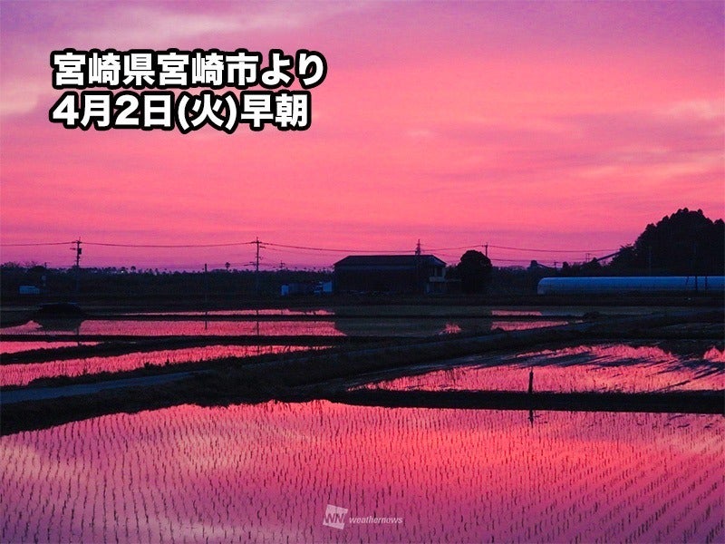 鮮やかなピンクに染まる日の出⇒実は天気が下り坂に向かう兆候、なぜ？九州で観測