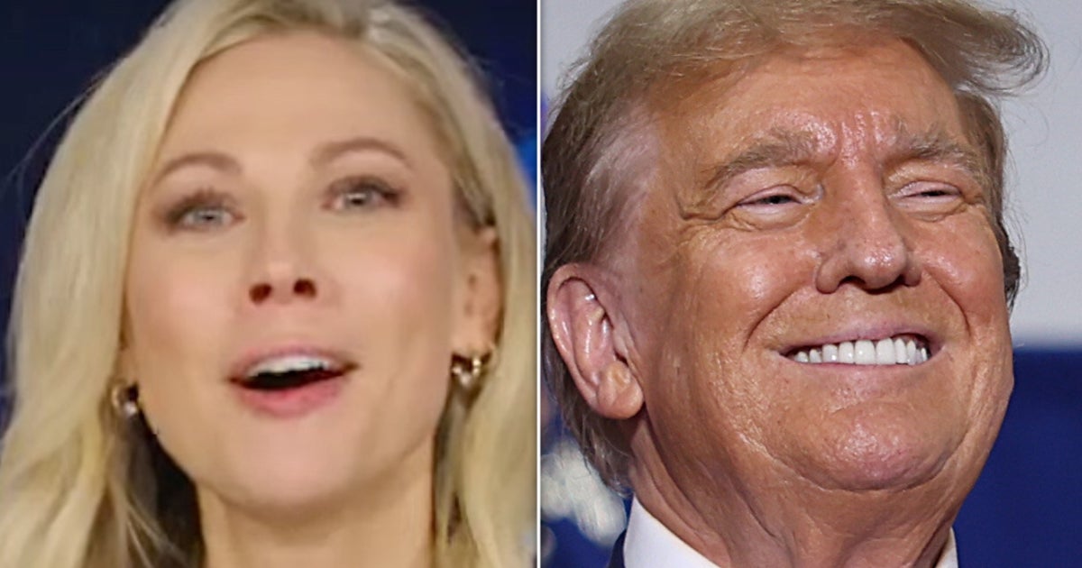 Desi Lydic Gives 'Pathetic Worm' Trump A Blunt Lesson In How Voting Should Work
