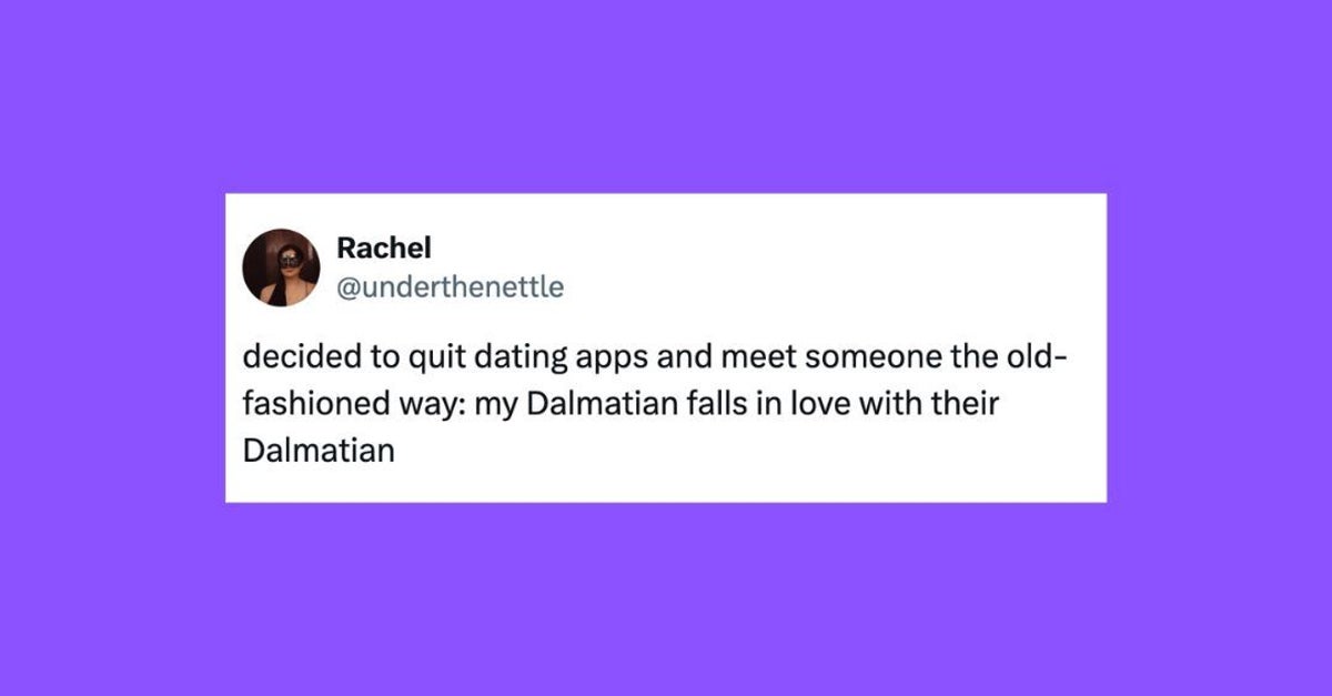 24 Of The Funniest Tweets About Cats And Dogs This Week (Mar. 30-April 5)