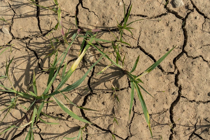 Cracked and dry earth in a paddy field. Photographer: Francesca Volpi/Bloomberg