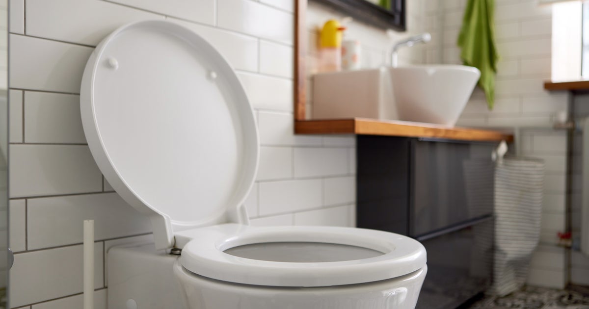The Horrifying Reason You Need To Close The Lid Of The Toilet Before