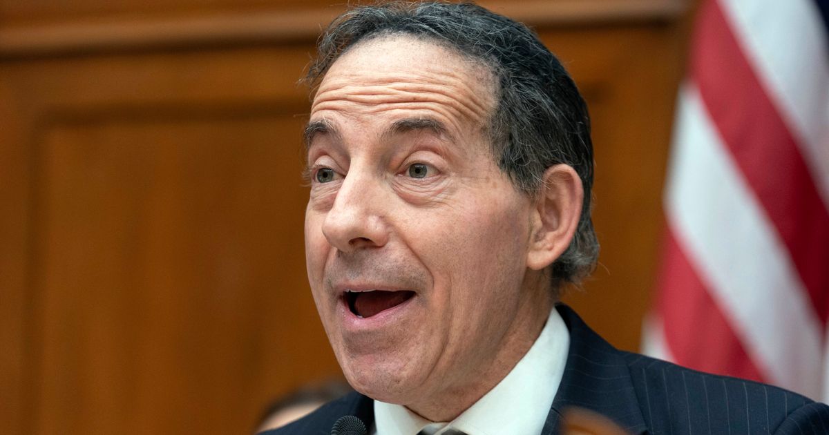 Jamie Raskin Wrecks Republican's 'Illegals' Comment With Blunt U.S. History Lesson