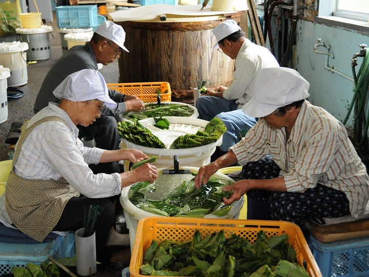 50枚を1束として結ぶ「まるけ」と呼ばれる作業（提供／松崎町）